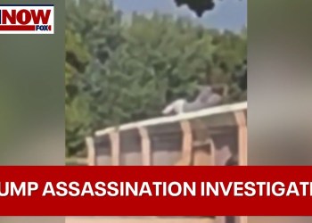 Secret Service update on attempted Trump assassination attempt security failures | LiveNOW from FOX Secret Service update on attempted Trump assassination attempt security failures | LiveNOW from FOX