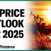 How tariffs, supply could impact oil prices in 2025 How tariffs, supply could impact oil prices in 2025