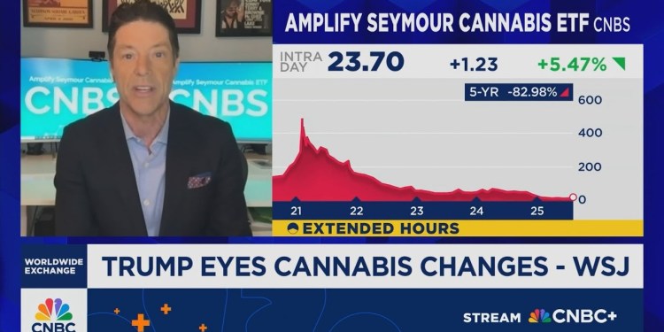 Seymour: States are steadily approving cannabis markets Seymour: States are steadily approving cannabis markets