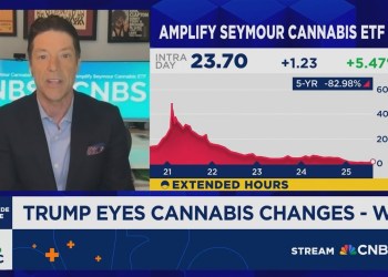 Seymour: States are steadily approving cannabis markets Seymour: States are steadily approving cannabis markets