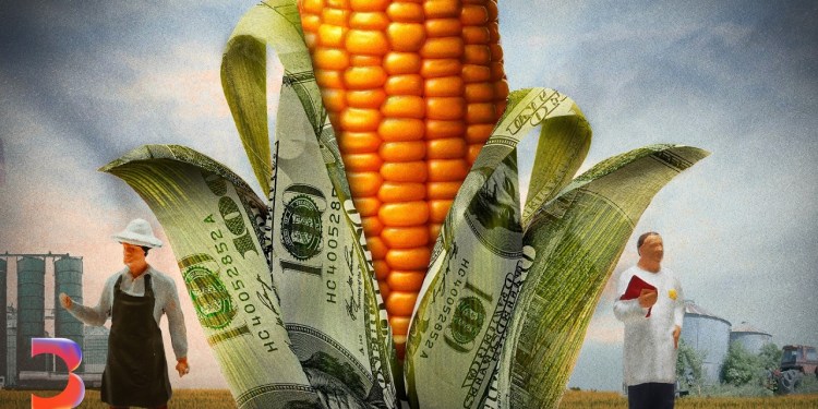 The Dark Side of America’s Big Agriculture The Dark Side of America’s Big Agriculture
