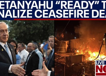 BREAKING: Ceasefire details to be decided by Israel and Hamas next week | LiveNOW from FOX BREAKING: Ceasefire details to be decided by Israel and Hamas next week | LiveNOW from FOX