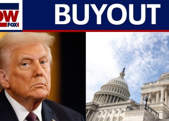 Return to work or accept buyout: Trump offers federal workers an ultimatum | LiveNOW from FOX Return to work or accept buyout: Trump offers federal workers an ultimatum | LiveNOW from FOX