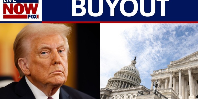 Return to work or accept buyout: Trump offers federal workers an ultimatum | LiveNOW from FOX Return to work or accept buyout: Trump offers federal workers an ultimatum | LiveNOW from FOX