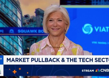 A market pullback of 5-10% is natural and healthy, says Aureus’ Kari Firestone A market pullback of 5-10% is natural and healthy, says Aureus’ Kari Firestone