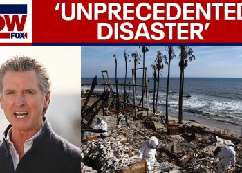 LA wildfire response: Newsom asks Congress for nearly B in aid | LiveNOW from FOX LA wildfire response: Newsom asks Congress for nearly B in aid | LiveNOW from FOX