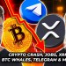 Crypto News: Jobs Crash Crypto, Bitcoin Whales, Crypto Liquidations, XRP & More! Crypto News: Jobs Crash Crypto, Bitcoin Whales, Crypto Liquidations, XRP & More!