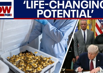 Trump aims to help veterans with ‘breakthrough’ psychedelic drugs Trump aims to help veterans with ‘breakthrough’ psychedelic drugs