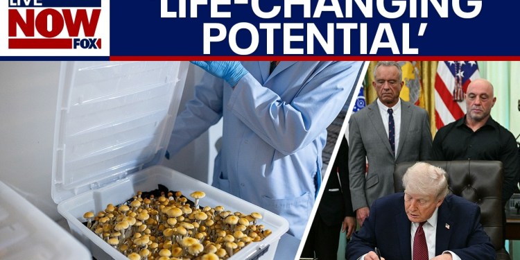 Trump aims to help veterans with ‘breakthrough’ psychedelic drugs Trump aims to help veterans with ‘breakthrough’ psychedelic drugs