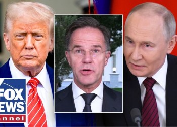 NATO leader reveals what’s next after Trump canceled Putin meeting NATO leader reveals what’s next after Trump canceled Putin meeting
