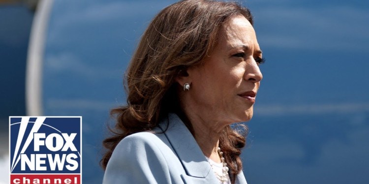 Harris surrogate admits she felt ‘misled’: ‘Billion-dollar disaster’ Harris surrogate admits she felt ‘misled’: ‘Billion-dollar disaster’