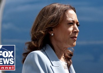Harris surrogate admits she felt ‘misled’: ‘Billion-dollar disaster’ Harris surrogate admits she felt ‘misled’: ‘Billion-dollar disaster’