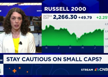 Focus on high quality among mid and small caps, says BofA’s Jill Carey Hill Focus on high quality among mid and small caps, says BofA’s Jill Carey Hill