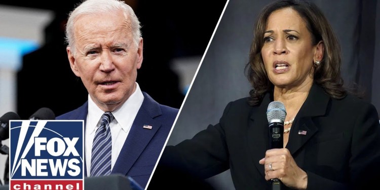 Harris will end up as President if Biden is re-elected, fmr Obama fundraiser warns Harris will end up as President if Biden is re-elected, fmr Obama fundraiser warns