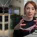 The Race to Harness Quantum Computing’s Mind-Bending Power | The Future With Hannah Fry The Race to Harness Quantum Computing’s Mind-Bending Power | The Future With Hannah Fry