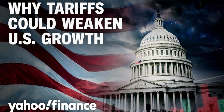 Tariffs hurt business, economy, and consumers: Adviser Tariffs hurt business, economy, and consumers: Adviser