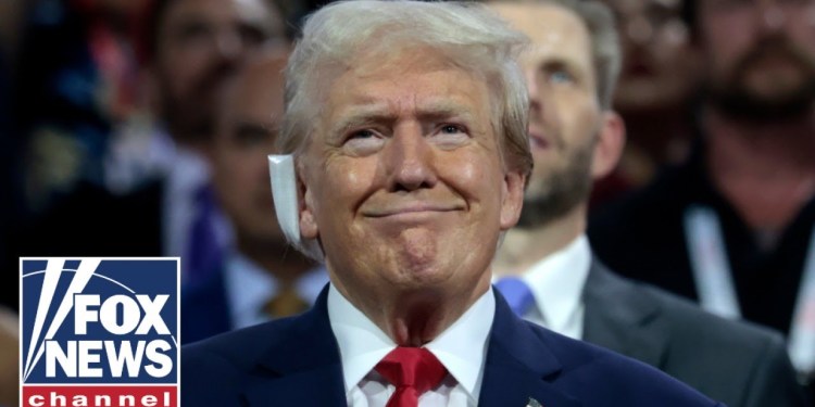 ‘GO TO HELL’: MSNBC host roasted for comment on Trump’s ear bandage ‘GO TO HELL’: MSNBC host roasted for comment on Trump’s ear bandage