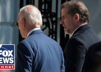 Jonathan Turley: The Bidens are the GOATs of influence peddling Jonathan Turley: The Bidens are the GOATs of influence peddling