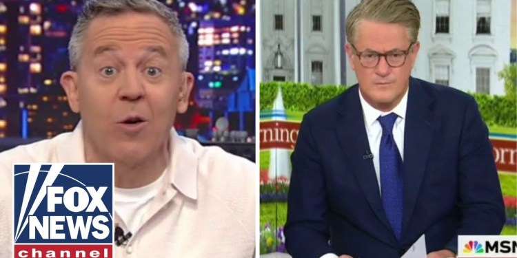 Gutfeld: How dumb does MSNBC think we are? Gutfeld: How dumb does MSNBC think we are?