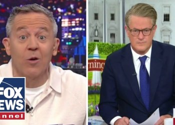 Gutfeld: How dumb does MSNBC think we are? Gutfeld: How dumb does MSNBC think we are?