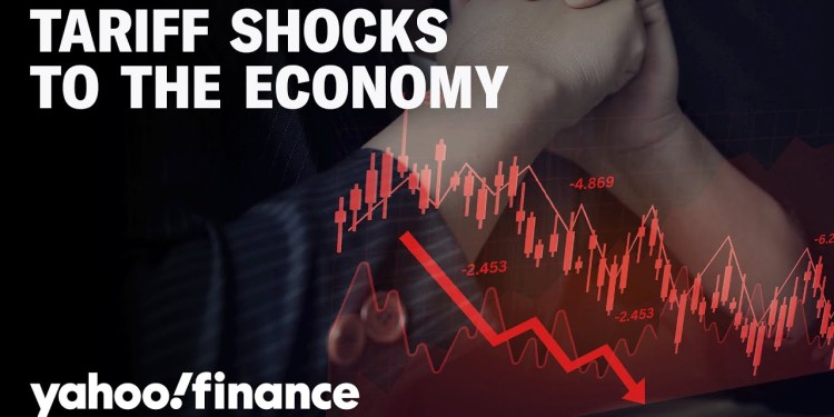 Tariffs will cause price and inflation shock first, economist says Tariffs will cause price and inflation shock first, economist says