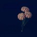 Artemis II Safely Returns to Earth After Historic Moon Mission Artemis II Safely Returns to Earth After Historic Moon Mission