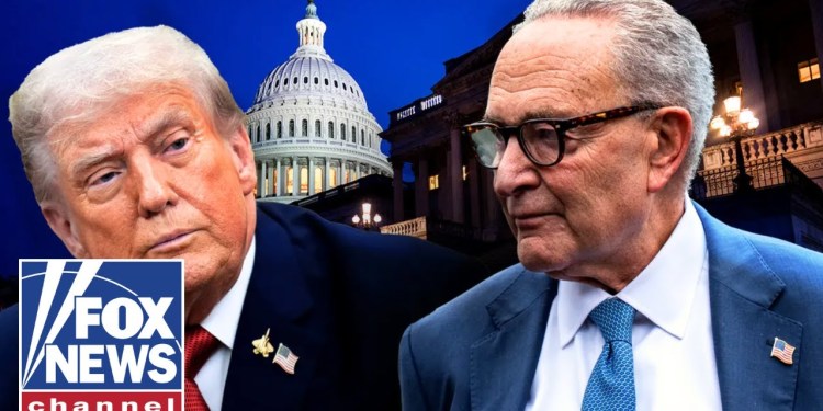 ‘STOP THE MADNESS’: GOP lawmaker RAILS against Dems blocking shutdown deal ‘STOP THE MADNESS’: GOP lawmaker RAILS against Dems blocking shutdown deal