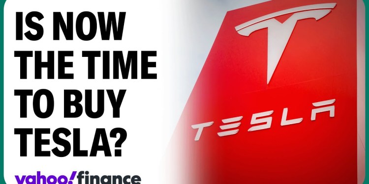 Tesla is a stock to buy long term, portfolio manager says Tesla is a stock to buy long term, portfolio manager says