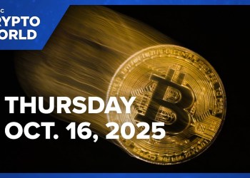 Bitcoin drops to 8,000 level as crypto selling pressure continues: CNBC Crypto World Bitcoin drops to 8,000 level as crypto selling pressure continues: CNBC Crypto World