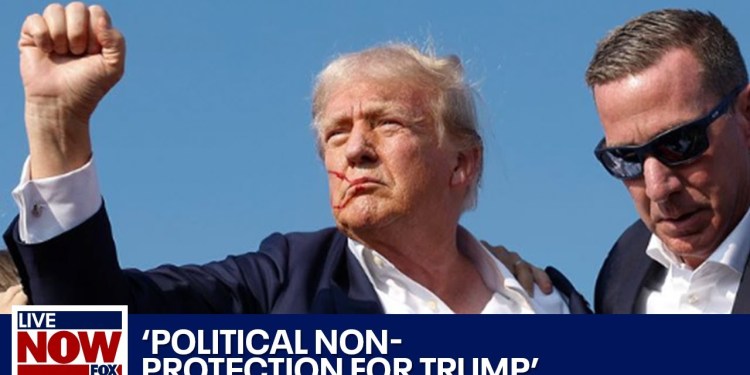 Ted Cruz, GOP Senators claim Trump shooting protection was ‘politically motivated’ | LiveNOW FOX Ted Cruz, GOP Senators claim Trump shooting protection was ‘politically motivated’ | LiveNOW FOX