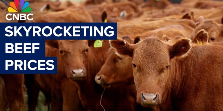 Why beef prices in the U.S. are soaring Why beef prices in the U.S. are soaring