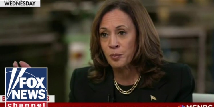 ‘BEST WE HAVE’: Kamala Harris roasted for one-on-one interview ‘BEST WE HAVE’: Kamala Harris roasted for one-on-one interview