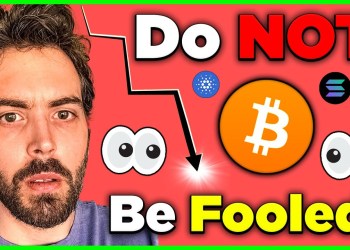 The Real Reason Bitcoin Is Crashing + The Next 10x Altcoin? The Real Reason Bitcoin Is Crashing + The Next 10x Altcoin?