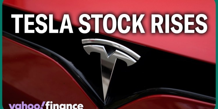 Analyst explains the 2 things driving Tesla stock Analyst explains the 2 things driving Tesla stock