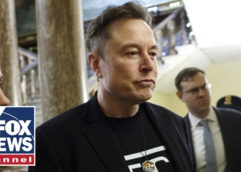 ‘I’VE HAD ENOUGH’: Elon Musk reaches final straw with Dems’ attacks ‘I’VE HAD ENOUGH’: Elon Musk reaches final straw with Dems’ attacks