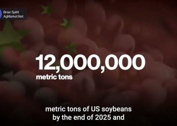 Soybean Markets on Edge Over US-China Trade Deal | Presented by CME Group Soybean Markets on Edge Over US-China Trade Deal | Presented by CME Group