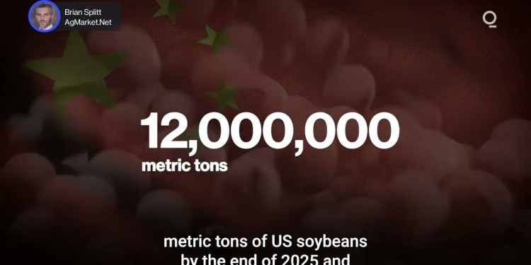 Soybean Markets on Edge Over US-China Trade Deal | Presented by CME Group Soybean Markets on Edge Over US-China Trade Deal | Presented by CME Group