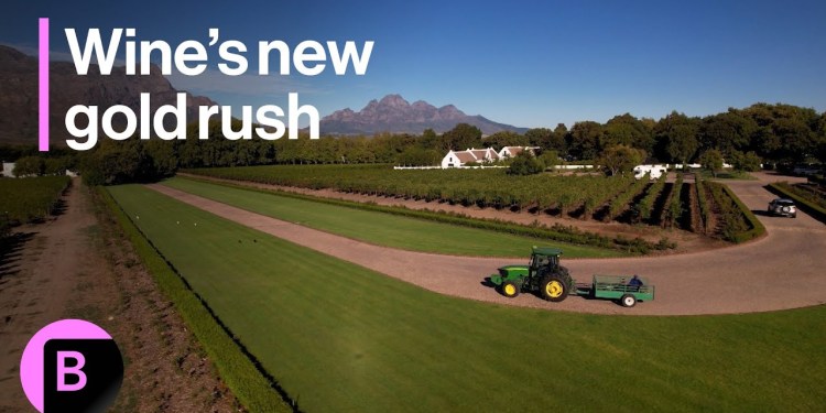 South African Wine Estates Become Focus for Global Buyers South African Wine Estates Become Focus for Global Buyers