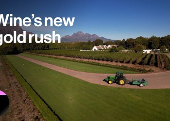 South African Wine Estates Become Focus for Global Buyers South African Wine Estates Become Focus for Global Buyers
