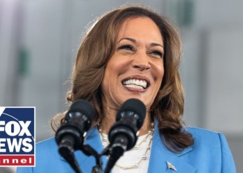 Media HAMMERS Harris on ‘first and only’ policy proposal: ‘Totally unworkable’ Media HAMMERS Harris on ‘first and only’ policy proposal: ‘Totally unworkable’