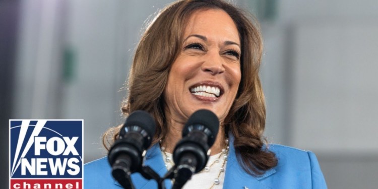 Media HAMMERS Harris on ‘first and only’ policy proposal: ‘Totally unworkable’ Media HAMMERS Harris on ‘first and only’ policy proposal: ‘Totally unworkable’