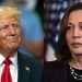 Trump Criticised For Questioning Harris’s Black Identity Trump Criticised For Questioning Harris’s Black Identity