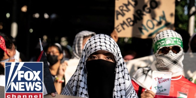 New arrest of pro-Hamas student sparks more protests New arrest of pro-Hamas student sparks more protests