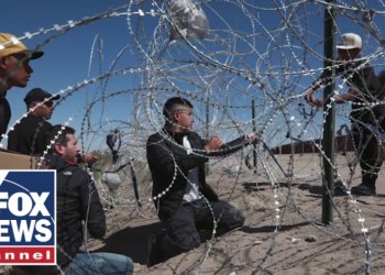 ‘BORDER SECURITY DREAM TEAM’: Trump’s picks to tackle illegal immigration ‘BORDER SECURITY DREAM TEAM’: Trump’s picks to tackle illegal immigration