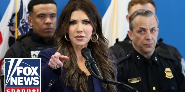 ‘Domestic terrorism’: Jarrett backs Noem after Minnesota ICE shooting video emerges ‘Domestic terrorism’: Jarrett backs Noem after Minnesota ICE shooting video emerges