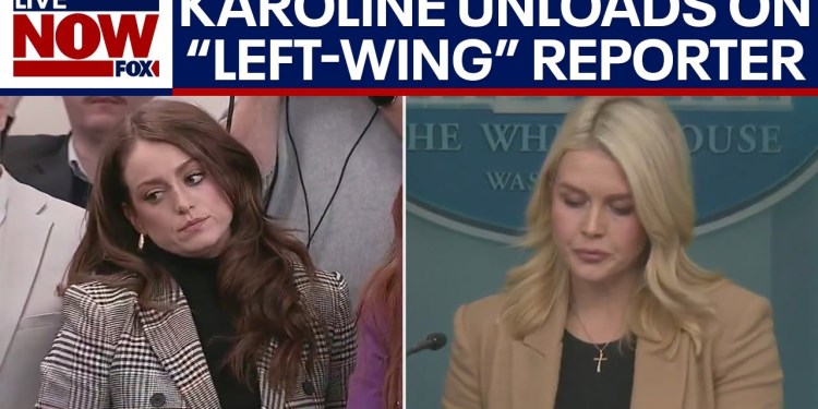 Leavitt unloads on reporter over ICE in Minneapolis Leavitt unloads on reporter over ICE in Minneapolis