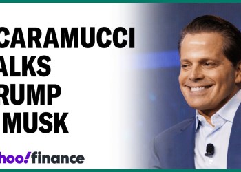 Anthony Scaramucci on Elon Musk’s ‘DOGE’ plans Anthony Scaramucci on Elon Musk’s ‘DOGE’ plans