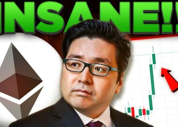 Tom Lee Has Gone Insane (ethereum). Tom Lee Has Gone Insane (ethereum).
