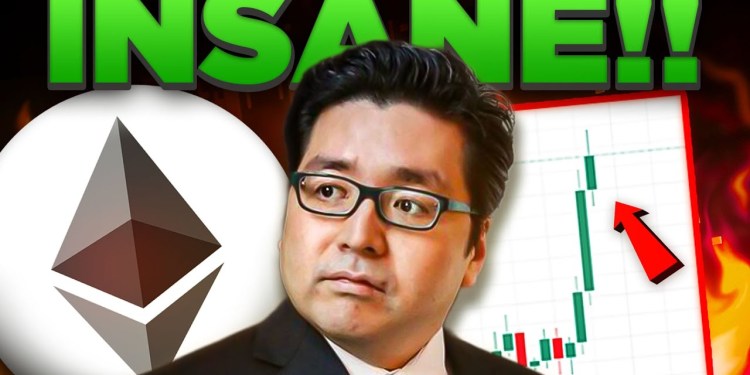 Tom Lee Has Gone Insane (ethereum). Tom Lee Has Gone Insane (ethereum).