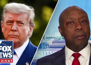 ‘HOGWASH’: Tim Scott slams accusation against Trump ‘HOGWASH’: Tim Scott slams accusation against Trump